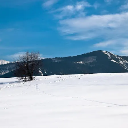 Lägenhet Na Wierchu *